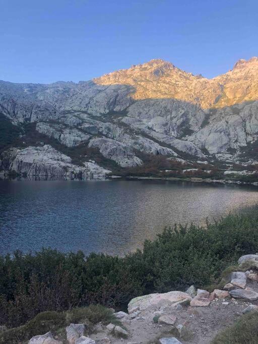 Appartement Au Coeur De La Ville Corte  Εξωτερικό φωτογραφία